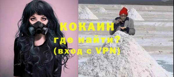 дживик Великий Новгород