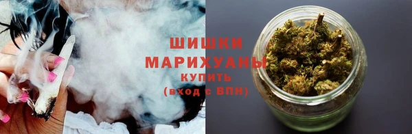 дживик Великий Новгород