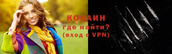 дживик Великий Новгород