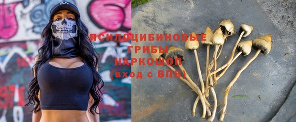 PSILOCYBIN Бутурлиновка