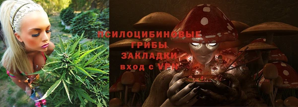 дживик Великий Новгород
