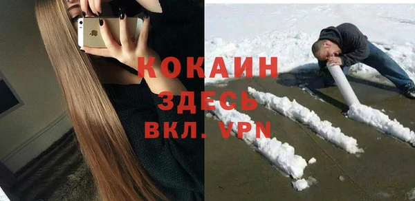 дживик Великий Новгород