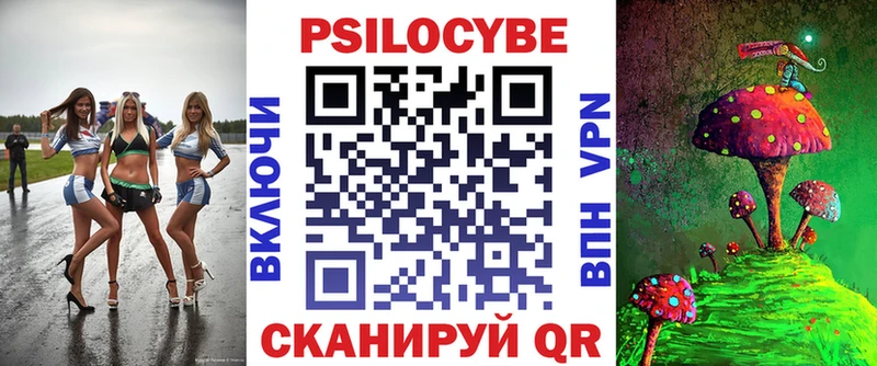 Галлюциногенные грибы Psilocybine cubensis  Бабаево 